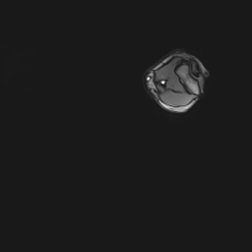 Click on the Serie image to view the images of Wieszt, Gnter